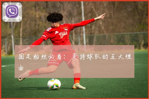国足粉丝必看：支持球队的五大理由