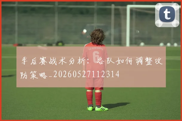 季后赛战术分析：各队如何调整攻防策略_20260527112314