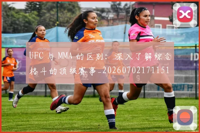 UFC 与 MMA 的区别:深入了解综合格斗的顶级赛事_20260702171151