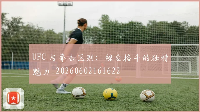 UFC 与拳击区别：综合格斗的独特魅力_20260602161622